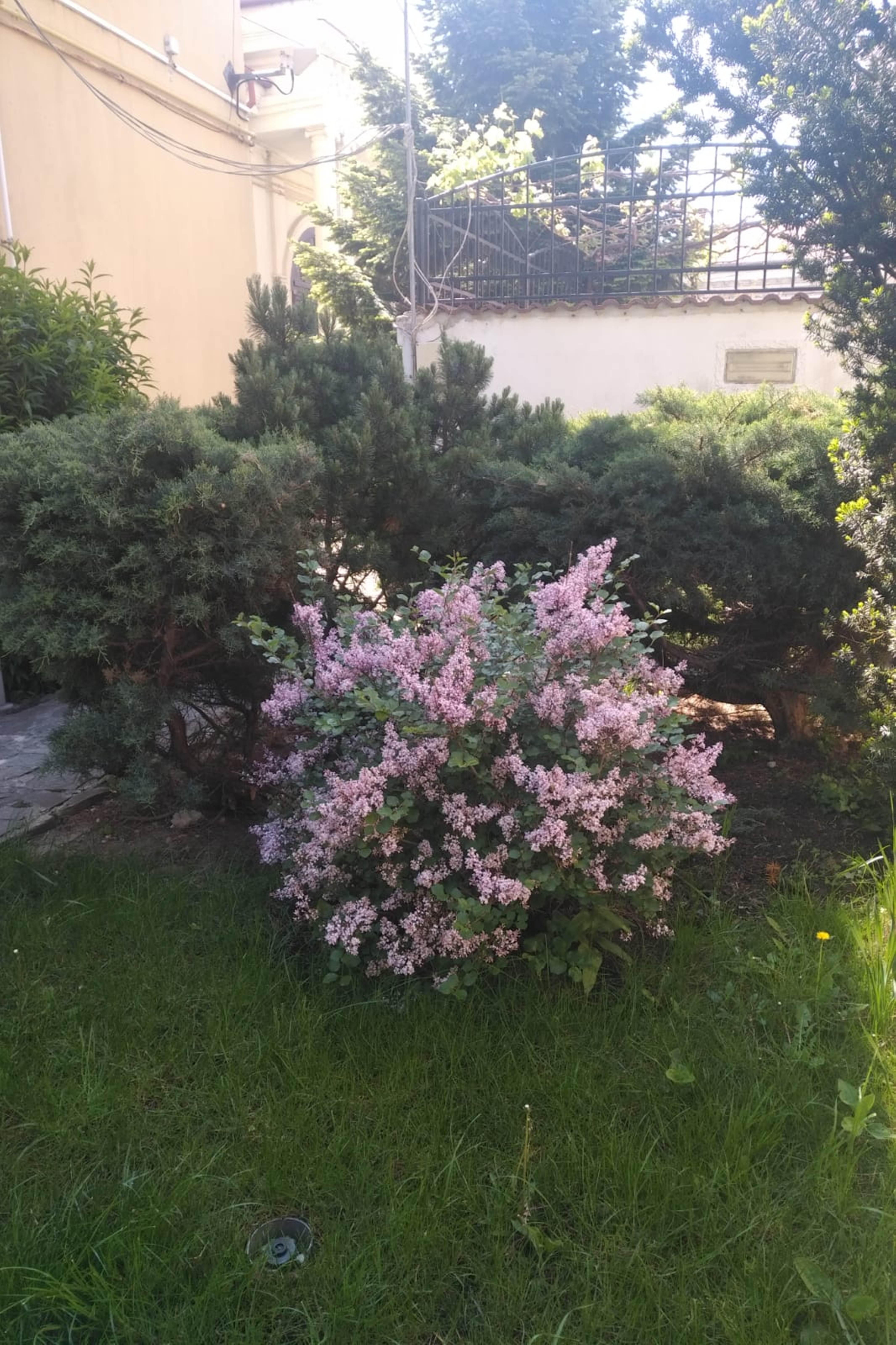 Prince Residence Apartments 3* Bucharest