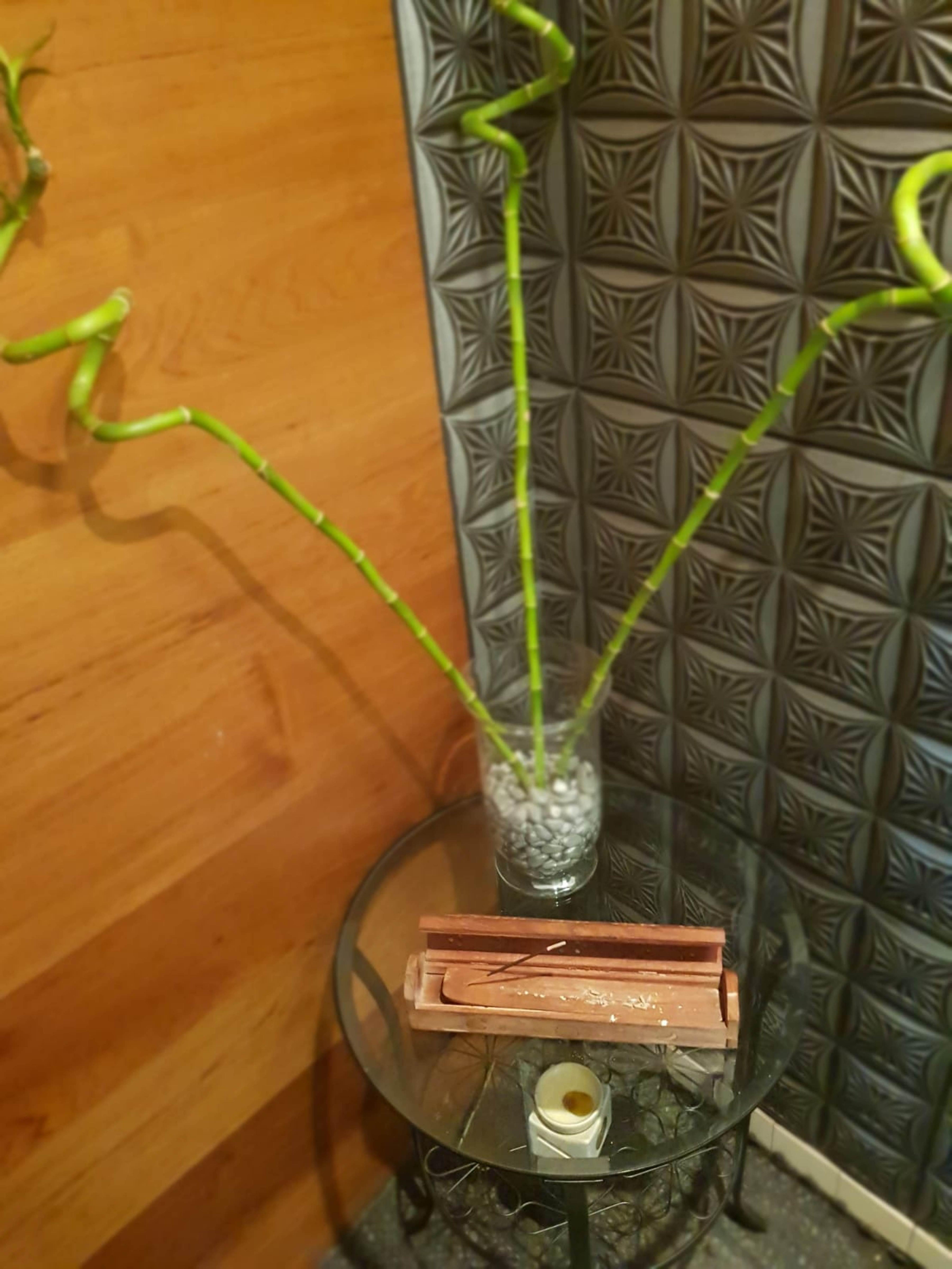 מלון דירות Prince Residence Apartments 3*